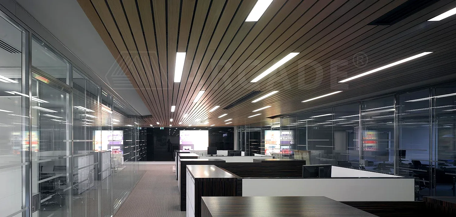 Arcade Lighting — Office space